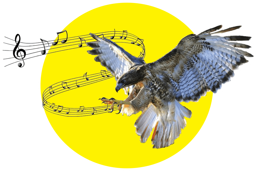 Logo icon the falcons entertainment bahamas